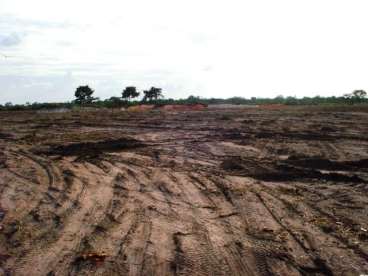 Fazenda a venda em peixoto de azevedo