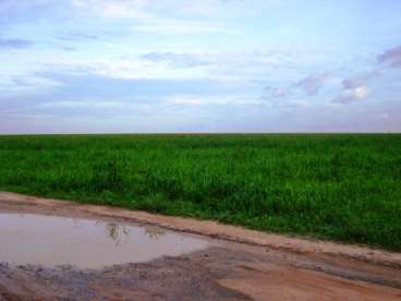 Fazenda a venda em peixoto de azevedo