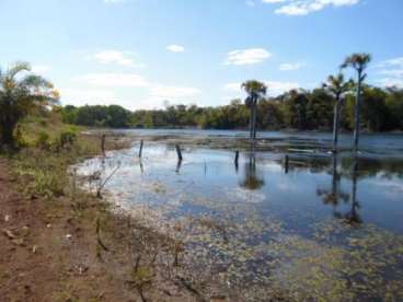 Fazenda a venda em pium - to 1080 ha