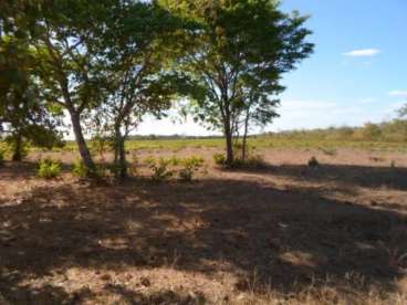 Fazenda a venda em pium - to 1080 ha