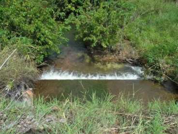 Fazenda a venda em pium - to 1.974 há