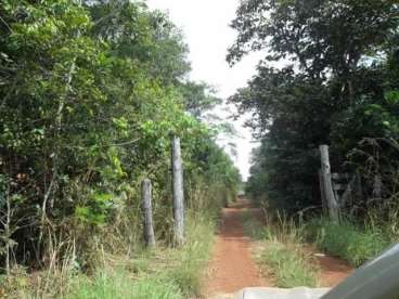 Fazenda a venda em pium - to 1.974 há