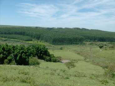 Fazenda a venda em sao paulo/sp 80 ha