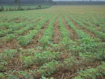 Fazenda a venda em wanderlandia - to 2889 ha