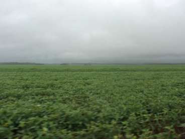 Fazenda a venda em wanderlandia - to 2889 ha