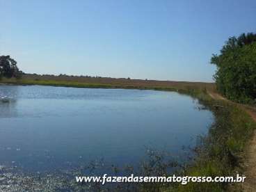 Fazenda água boa / mt 8300 hectares
