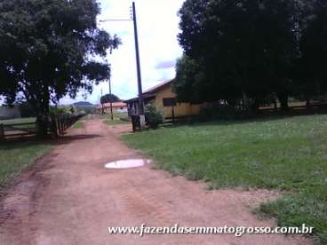 Fazenda alta floresta / mt 3300 alqueires
