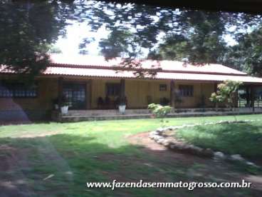 Fazenda alta floresta / mt 3300 alqueires