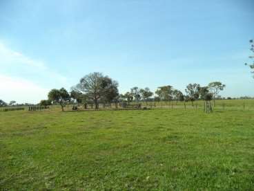 Fazenda araguaiana mt 2.904ha