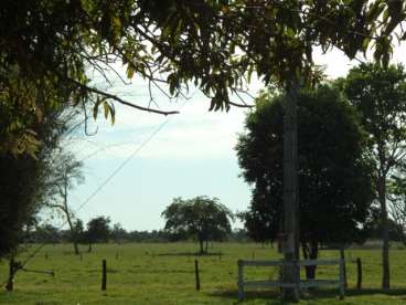 Fazenda araguaiana mt 2.904ha