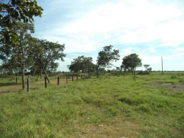Fazenda araguaiana mt 2.904ha