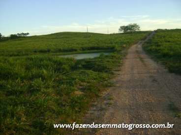 Fazenda araputanga / mt 490 alqueires