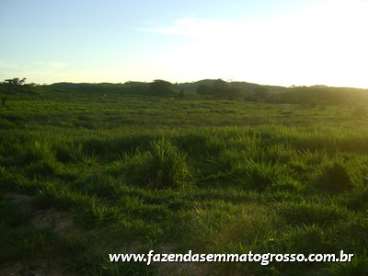 Fazenda araputanga / mt 490 alqueires