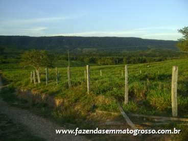 Fazenda araputanga / mt 490 alqueires