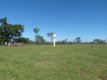 Fazenda área em bonito - 223