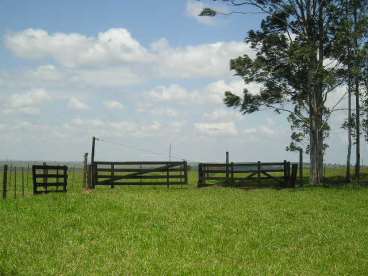 Fazenda bandeirantes - 1360 ha