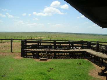 Fazenda bandeirantes - 1360 ha