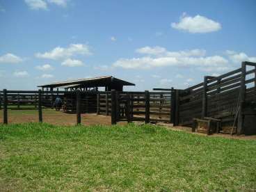 Fazenda bandeirantes - 1360 ha