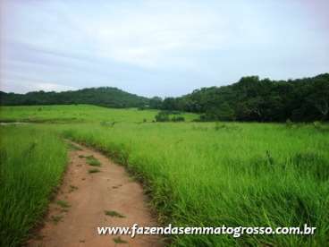 Fazenda barra do garcas / mt 700 hect.