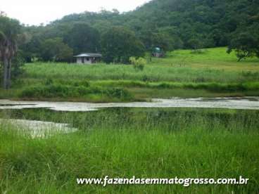 Fazenda barra do garcas / mt 700 hect.