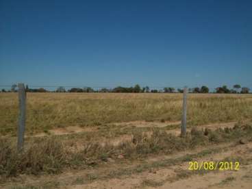 Fazenda beira rio cristalino 2178 ha