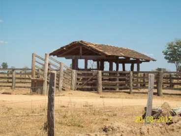 Fazenda beira rio cristalino 2178 ha