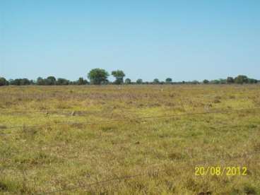 Fazenda beira rio cristalino 2178 ha