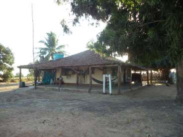 Fazenda boa para pecuária em torixoreu-mt