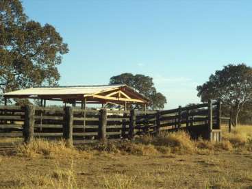 Fazenda boa para pecuária em torixoreu-mt