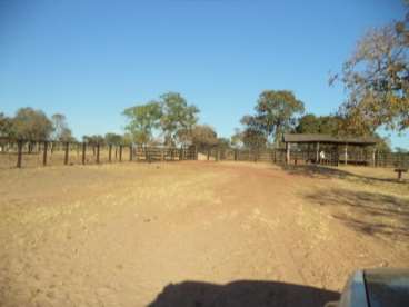 Fazenda boa para pecuária em torixoreu-mt