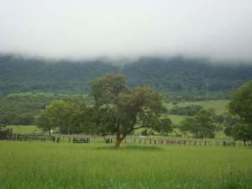 Fazenda caceres / mt 1100 hectares