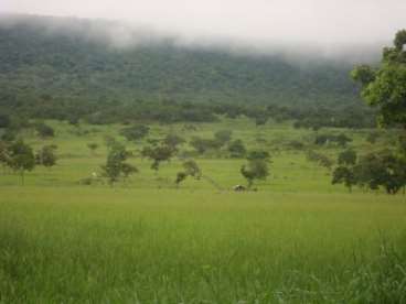 Fazenda caceres / mt 1100 hectares