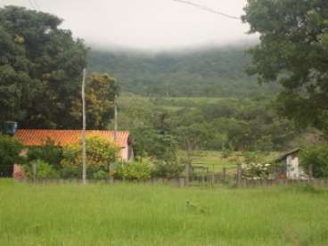 Fazenda caceres / mt 1100 hectares