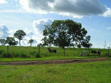 Fazenda camapua - 1782 ha