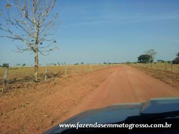 Fazenda colíder / mt 1200 hectares