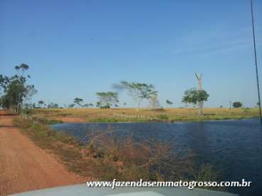 Fazenda colíder / mt 1200 hectares