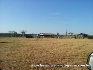 Fazenda colíder / mt 1200 hectares