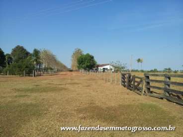 Fazenda colíder / mt 1200 hectares