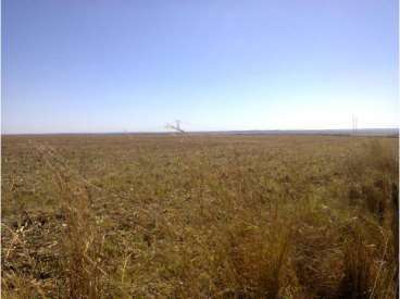 Fazenda com 420 ha com 60 ha pivo em cristalina-go