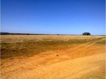 Fazenda com 420 ha com 60 ha pivo em cristalina-go