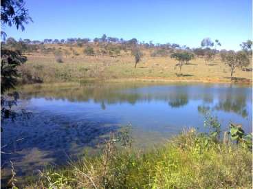 Fazenda com 420 ha com 60 ha pivo em cristalina-go