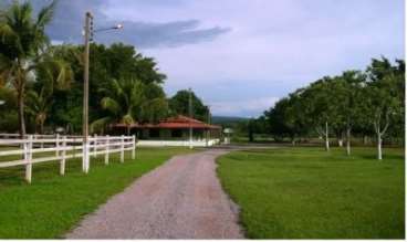 Fazenda com 854 hectares rosario oeste / mt