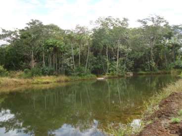 Fazenda com dupla aptidao 426 ha