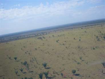 Fazenda com dupla aptidao 7.000,00 hectares