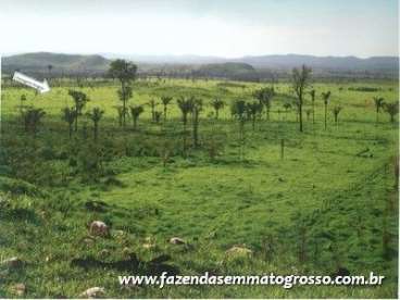 Fazenda confresa / mt 20000 hectares