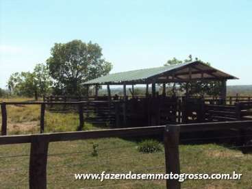 Fazenda cuiaba / mt 1460 hectares