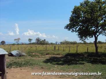 Fazenda cuiaba / mt 1460 hectares