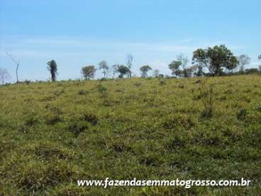 Fazenda cuiaba / mt 1460 hectares