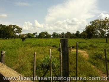 Fazenda cuiaba / mt 360 hectares