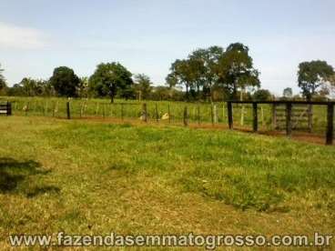 Fazenda cuiaba / mt 360 hectares